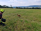 Srna na Chrudimsku uvzla v kanalizaci. Hasii si museli pomoci bagrem. (14....