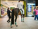 Na koni dorazil a k obchodu, kde pracuje jeho partnerka.