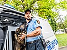 Hradeck mstsk policie m nov auto pro psovody.