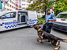 Hradeck mstsk policie m nov auto pro psovody.