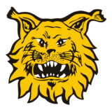 Tampereen Ilves