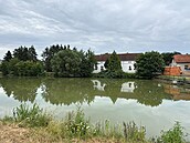 V rybníku v Ohrobci u Prahy nali svdci v nedli ráno mrtvého mue. (13....