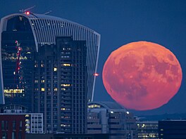 Úplnk pezdívaný Jelení msíc záí nad Londýnem. (10. ervence 2025)