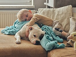 Nerozlu�ná dvojka