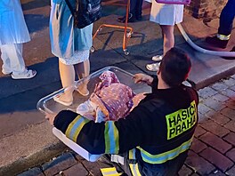V praském Apolinái vzplanul automat na kávu. Hasii budovu evakuovali. (19....
