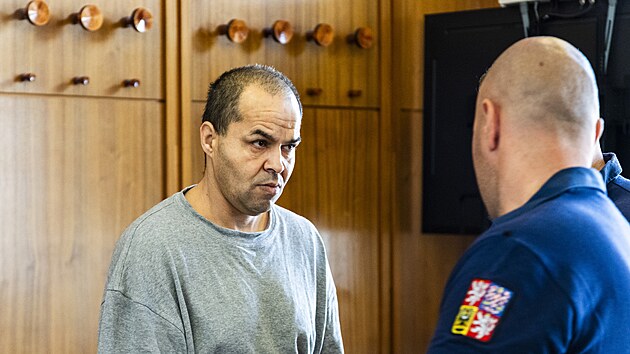 Patrik Bal vyhrooval hodonnsk soudkyni. Za vyhroovn i dvj krdee a padln dostal u dve odsouzen mu souhrnn trest 18 msc vzen. Krajsk soud dnes jeho ppad vrtil zptky do Hodonna. (16. 7. 2025)