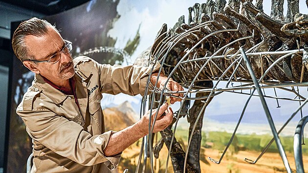 Kostra allosauraajej instalace
v Dinosauria Museum Prague.