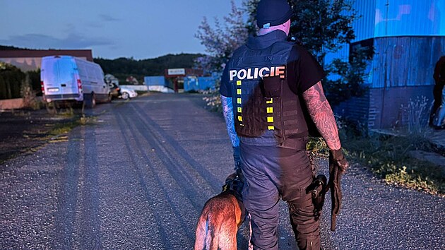 K zsahu proti agresivnmu mui se sekerou vyjeli v nedli veer i policejn psovodi. (13. ervence 2025)