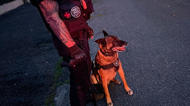 Okol bvalho hotelu jistili pi akci vyjednvae policist se psy. (13. ervence 2025)