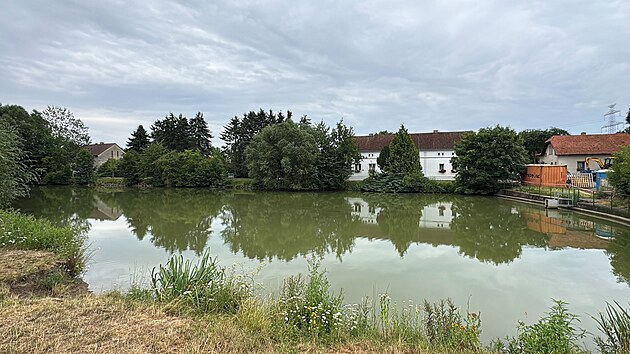 V rybnku v Ohrobci u Prahy nali svdci v nedli rno mrtvho mue. (13. ervence 2025)