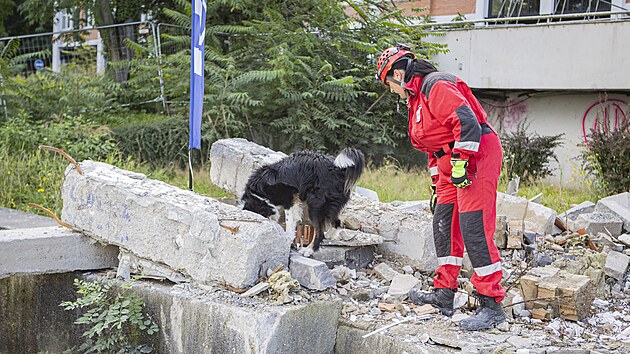 Iveta Matzenauerov a border kolie Spa. (19. ervence 2025)