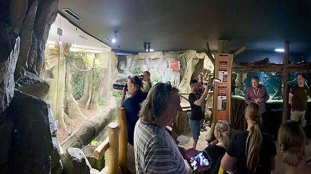 Interir pavilonu Mal Amazonie v ostravsk zoo