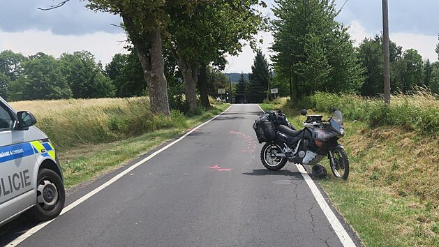 Jedenatyicetiletmu motorki skoil do cesty pes. Zve zachrnil, ale sm havaroval.