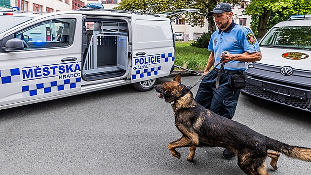Hradeck mstsk policie m nov auto pro psovody.