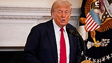 Americký prezident Donald Trump bhem projevu v Bílém dom (14. ervence 2025)