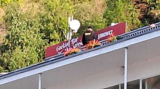 Pratí policisté vyjídli v sobotu veer k nahláenému konfliktu mezi dvma...