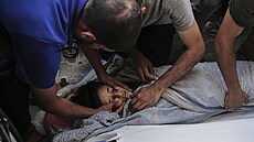 Nejmén deset Palestinc vetn esti dtí bylo dnes zabito a dalí tém dv...