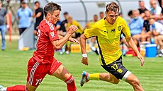Daniel Kutík (v lutém) ze Zbrojovky bhem pípravného utkání proti Polonii...