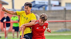 Lukas Saal (v lutém) ze Zbrojovky bhem pípravného utkání proti Polonii...