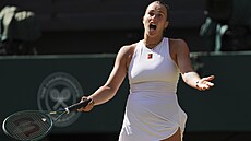 Nespokojená Aryna Sabalenková bhem semifinále Wimbledonu.
