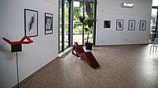 Botanická zahrada olomoucké pírodovdecké fakulty nabídla prostor lavikám...