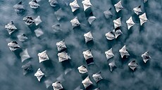 Malé hejno rejnok�, kte�í p�i svém putování ví�í písek. (21. dubna 2025)