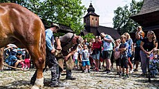 Valaské muzeum v pírod stoleté