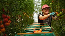 Brnnská rodinná farma Rájeek sází na moderní technologie, pesto zstává...