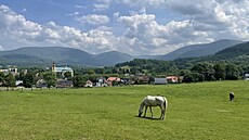 Úsek poutní cesty u Raspenavy. Cesta je zde mode znaená a mí 8 kilometr.