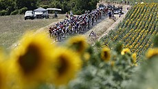 Peloton v 9. etap Tour de France.