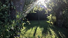 Ranní slunce vnáí do zahrady jedinenou atmosféru. 