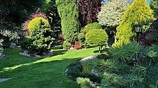 ástený pohled od plotu