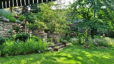 Trvalkový záhon na dolní zahrad