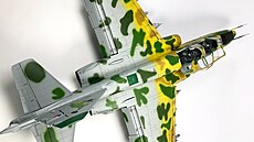 Suchoj Su-25UBK Double Frog-Double Fun