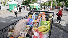 Piráti pedstavili svj plán. díky nmu by si podle nich pomohlo 90 procent...