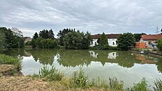 V rybníku v Ohrobci u Prahy nali svdci v nedli ráno mrtvého mue. (13....