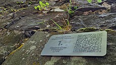 Píznivci hry pomocí QR kódu porovnají konkrétní místo s herní fikcí.