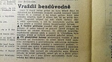 erná kronika, Stíny nebo Z deníku VB. Nejtenjí rubrika v denním tisku.