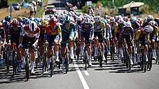 Momentka z osmé etapy Tour de France.