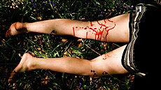 ilustra�ní snímek