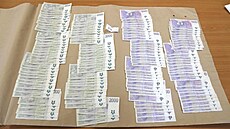 Po poáru garáe u domu v Sobotce v záí 2024 objevili kriminalisté varnu...