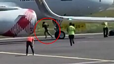 Nasátí mue do motoru Airbusu A319 na letiti v Bergamu (8. ervence 2025)