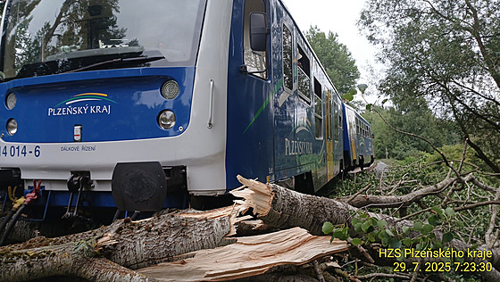 Na trati mezi Blá nad Radbuzou a Temené nad Pimdou po najetí do spadlého...