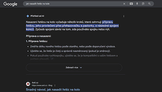 Výsledky vyhledávání na Googlu obsahují Pehled od AI.
