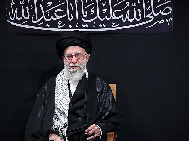 Navrátilová a další sportovci apelují na Írán, chtějí zarazit popravu šampiona