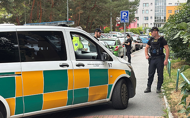 Muže zmasakroval boxerem a skoro mu uřízl hlavu. Obtěžoval mě, ujely mi nervy, tvrdí