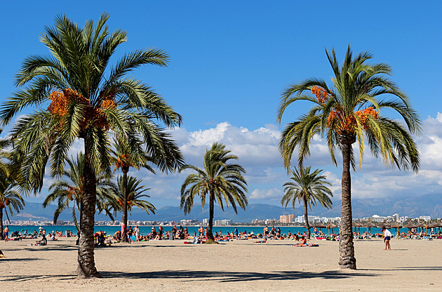Divoká ryba na Mallorce urvala ženě z nohy kus kůže. Pláž na hodinu uzavřeli