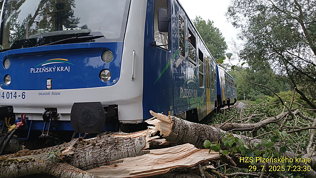 Na trati mezi Blá nad Radbuzou a Temené nad Pimdou po najetí do spadlého...
