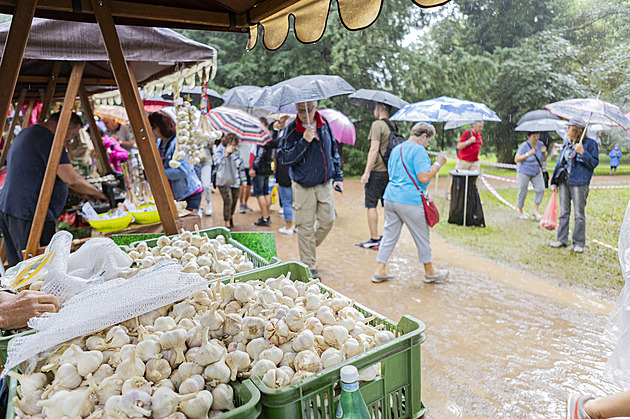 Česneková čokoláda i zmrzlina. V Buchlovicích uspořádali ojedinělý festival