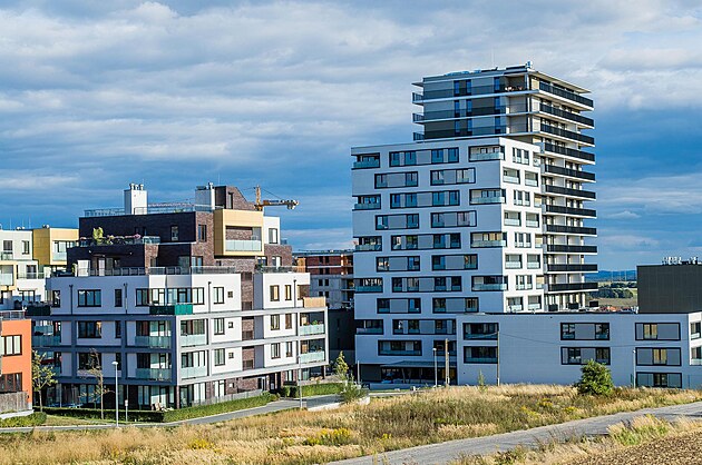 Odborn kontrola ped pevzetm novostavby